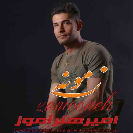 امیر هنرآموز زمونه